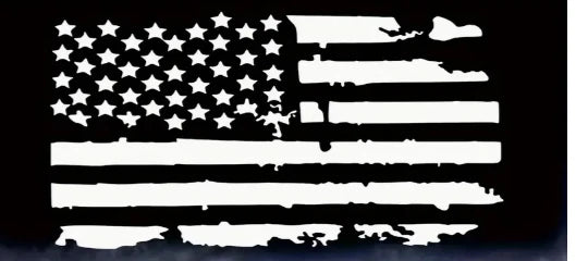 AMERICAN FLAG STICKERS DECAL CAMPERVAN MOTORHOME CARAVAN VAN CAR