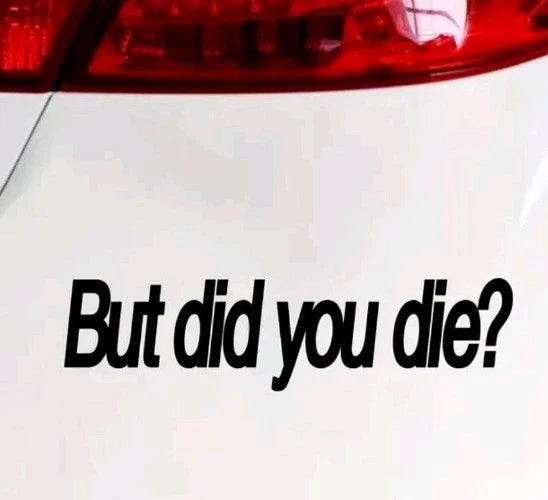 BUT DID YOU DIE Sticker Funny Car Window Bumper DUB JDM Lowered Slammed Decal