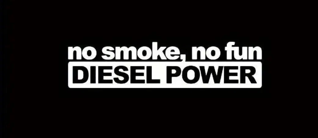 DIRTY DIESEL Sticker Funny Window Bumper VAN DUB 4X4 Truck Car Vinyl Decal