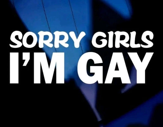 SORRY GIRLS I'M GAY! sticker/decal funny car/van bumper window joke VW BMW MAN